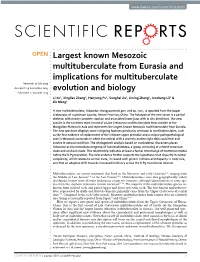Largest Known Mesozoic Multituberculate from Eurasia And