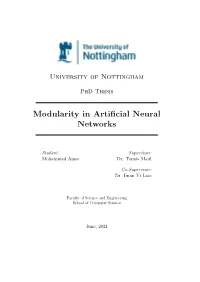 Modularity in Artificial Neural Networks