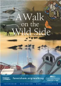 On the Wild Side