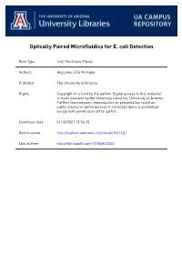 Optically Paired Microfluidics for E. Coli Detection by Ella Monique Anguiano
