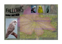 The Mutation Fallow Have at Least Three Types of Fallow, the GERMAN