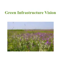 Green Infrastructure Vision