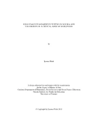 High-Stakes Standardized Testing in Nigeria and the Erosion of a Critical African Worldview