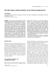 Six Major Steps in Animal Evolution: Are We Derived Sponge Larvae?