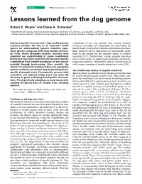 Lessons Learned from the Dog Genome