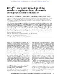 Promotes Unloading of the Vertebrate Replisome from Chromatin During Replication Termination