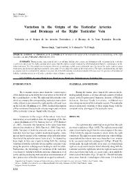 Variation in the Origin of the Testicular Arteries and Drainage of the Right Testicular Vein