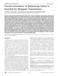 Female Inheritance of Malarial Lap Genes Is Essential for Mosquito Transmission