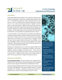 In Vitro Toxicology Cytotoxicity and Mechanism
