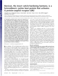Bursicon, the Insect Cuticle-Hardening Hormone, Is a Heterodimeric Cystine Knot Protein That Activates G Protein-Coupled Receptor LGR2