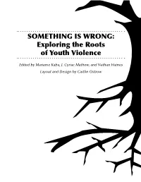 Something Is Wrong: Exploring the Roots of Youth Violence