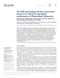 The NTP Generating Activity of Pyruvate Kinase II Is Critical