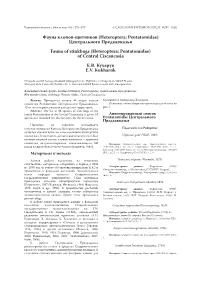 Фауна Клопов-Щитников (Heteroptera: Pentatomidae) Центрального Предкавказья Fauna of Stinkbugs (Heteroptera: Pentatomidae) of Central Ciscaucasia Е.В