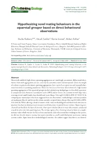 Hypothesizing Novel Mating Behaviours in the Squaretail Grouper Based on Direct Behavioural Observations