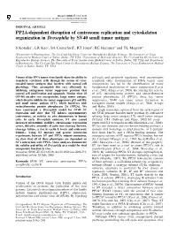 PP2A-Dependent Disruption of Centrosome Replication and Cytoskeleton Organization in Drosophila by SV40 Small Tumor Antigen
