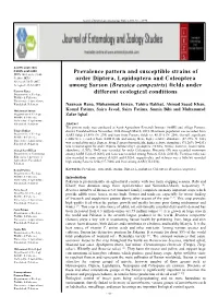 Prevalence Pattern and Susceptible Strains of Order Diptera