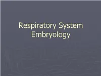 Respiratory System Embryology Development of the Nose and Palate Development of the Nose