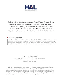 Sub-Vertical Low-Velocity Zone from P and S Wave Local Tomography of the Aftershock Sequence of the Mw5.9 Chenoua