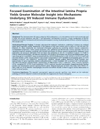 Focused Examination of the Intestinal Lamina Propria Yields Greater Molecular Insight Into Mechanisms Underlying SIV Induced Immune Dysfunction