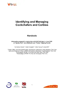 Identifying and Managing Cockchafers and Corbies