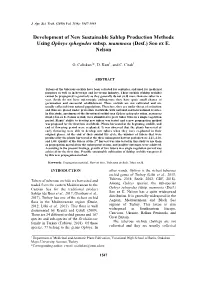 Development of New Sustainable Sahlep Production Methods Using Ophrys Sphegodes Subsp