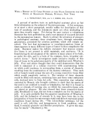Myxosarcomata at the State Institute Study Of