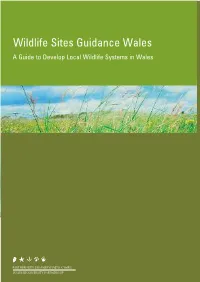 Sites of Importance for Nature Conservation Wales Guidance (Pdf)