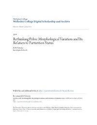 Rethinking Pelvic Morphological Variation and Its Relation to Parturition Status Kelly Navickas Knavicka@Wellesley.Edu