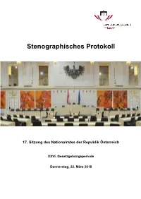 Stenographisches Protokoll