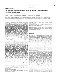 The Proximal Signaling Network of the BCR-ABL1 Oncogene Shows a Modular Organization