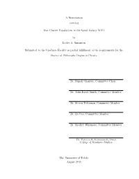 A Dissertation Entitled Star Cluster Populations in the Spiral Galaxy