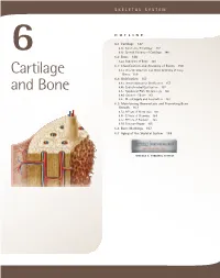 Cartilage and Bone 147