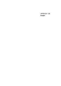 APPENDIX 12E Images