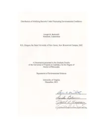 Distribution of Nitrifying Bacteria Under Fluctuating Environmental Conditions