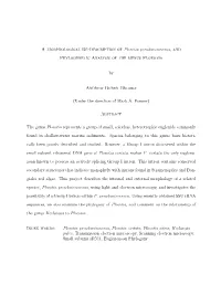 A Morphological Re-Description of Ploeotia Pseudanisonema, and Phylogenetic Analysis of the Genus Ploeotia