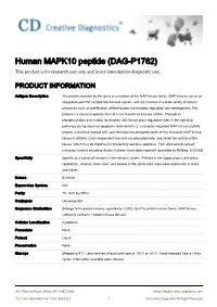 Human MAPK10 Peptide (DAG-P1762) This Product Is for Research Use Only and Is Not Intended for Diagnostic Use