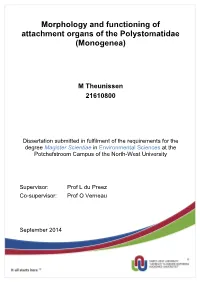 Morphology and Functioning of Attachment Organs of the Polystomatidae (Monogenea)