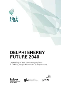 Delphi Energy Future 2040