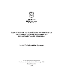 Haemocystidium Spp., a Species Complex Infecting Ancient Aquatic
