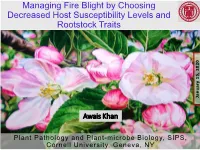 Managing Fire Blight by Choosing Decreased Host Susceptibility Levels and Rootstock Traits , 2020 , January 15 January