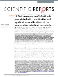 Schistosoma Mansoni Infection Is Associated with Quantitative and Qualitative Modifications of the Mammalian Intestinal Microbio