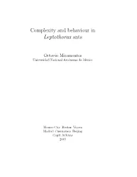 Complexity and Behaviour in Leptothorax Ants