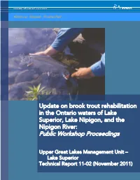 Update on Brook Trout Rehabilitation in the Ontario Waters of Lake Superior, Lake Nipigon, and the Nipigon River: Public Workshop Proceedings