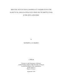 Behavior and Functional Morphology of Respiration in The