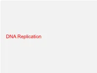 DNA Replication Introduction