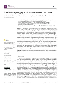Multimodality Imaging of the Anatomy of the Aortic Root