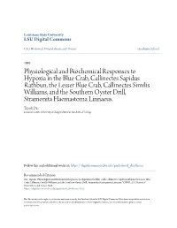 Physiological and Biochemical Responses to Hypoxia in the Blue Crab, Callinectes Sapidus Rathbun, the Lesser Blue Crab, Callinec