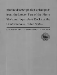Multinodose Scaphitid Cephalopods from the Lower Part of the Pierre Shale and Equivalent Rocks in The