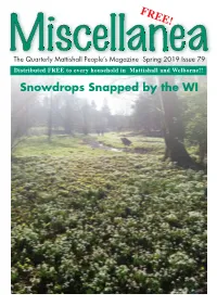 Snowdrops Snapped by the WI