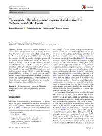 The Complete Chloroplast Genome Sequence of Wild Service Tree Sorbus Torminalis (L.) Crantz